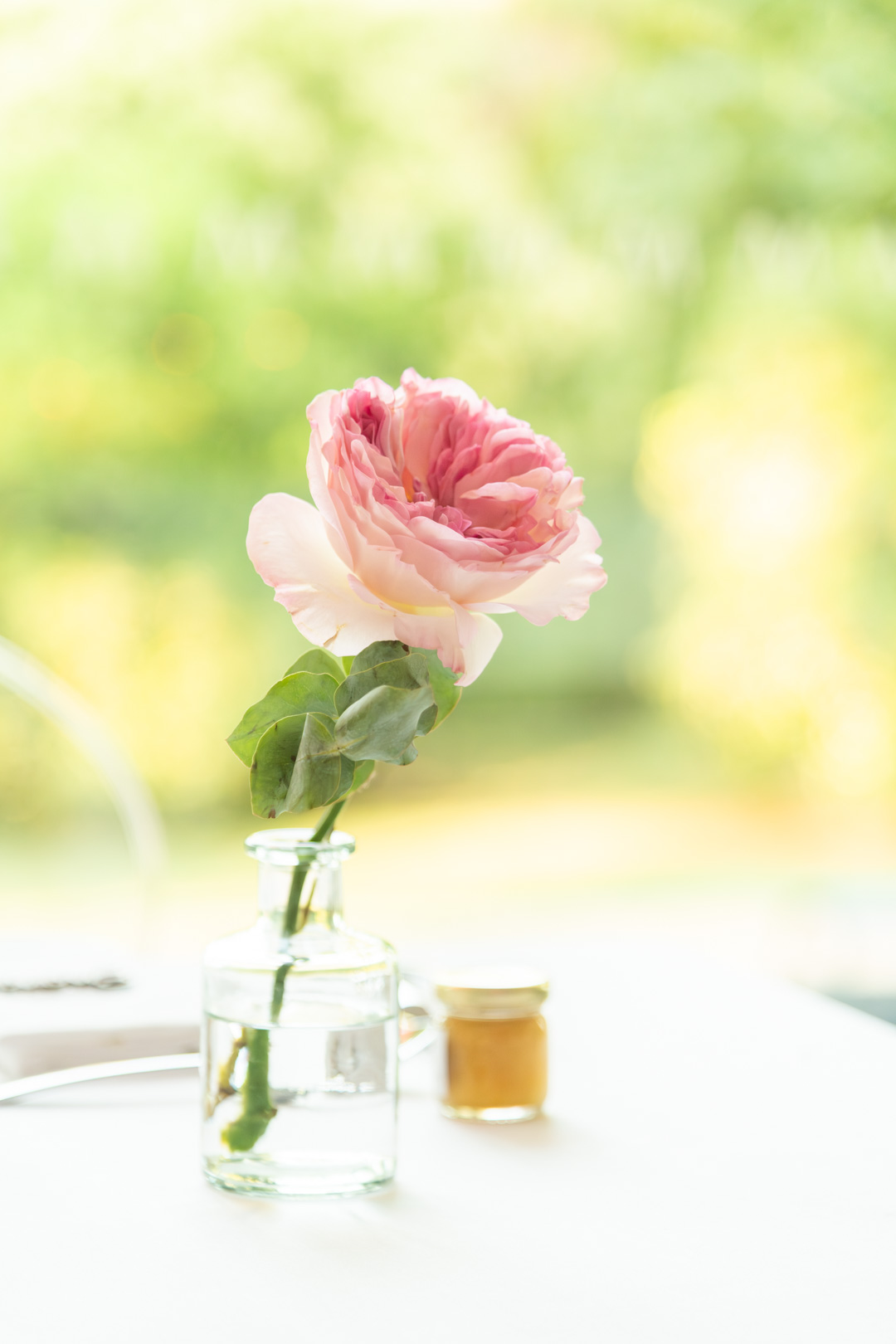 Portrait en lumière naturelle